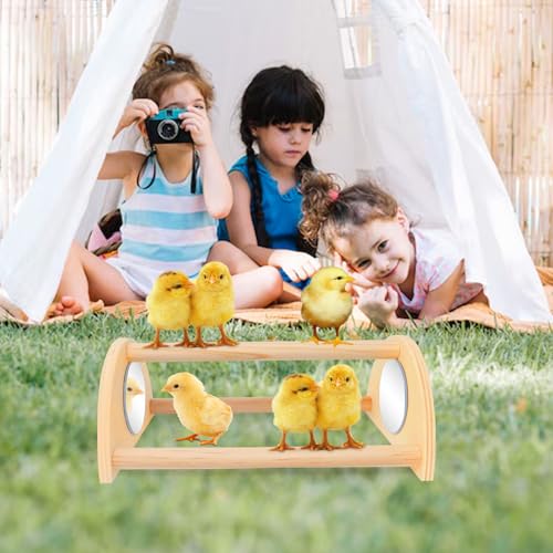 ALIBBON Mini Chicken Perch with Mirror Chick Strong Wooden Jungle Gym Roosting Bar Chicken Toys for Coop and Brooder Chick Training Perch for Large Bird Baby Chicks Parrot