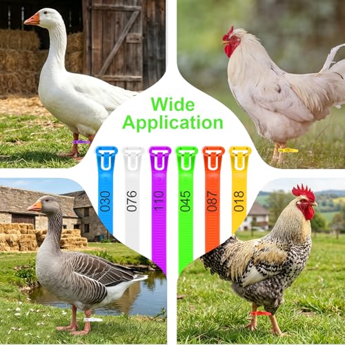 120Pcs Leg Bands for Chickens, Numbered Chicken Leg Bands 1-120 | 6colors(20 Each),Numbered 1-120.Pp Plastic,Self-Locking,Fluorescent.For Poultry Tracking,Chickens