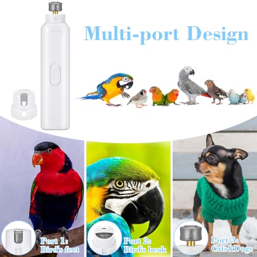 Lasnten 2 Pcs Bird Nail Grinder with Clipper Bird Nail Trimmer File Pet Grooming Tool for Parrot Budgerigars Parakeets Myna Conure Finches Lovebirds(White) - color: White