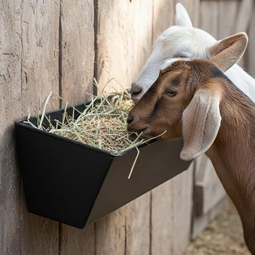 3-Pack 6 Qt Metal Hanging Feed Troughs for Goats, Ducks and Livestock | Rust-resistant iron, 4 drain holes with plugs, fence or wall mount hardware, for sheep, piglets, poultry and dry feed