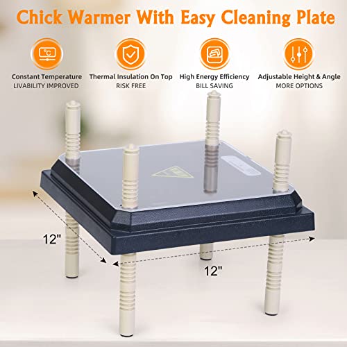 Brooder Heater for Chicks: Chick Brooder Heating Plate with Easy- Cleaning Plate Poultry Coop Heater Chicks Warmer 12" x 12" for 20 Chicks Adjustable Height Brooding Heater 22 Watts - color: Black-12x12