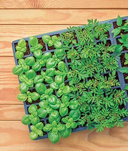 Burpee XL Self-Watering Growing System Indoor Seed Starting 10" W x 20" L x 5" H, 1 Kit (32 Cells) - color: 32 XL Cell Self Watering Kit