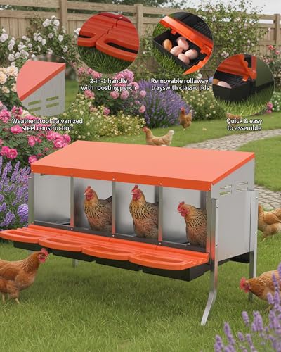 GarveeLife Chicken Nesting Box 4 Hole, Galvanized Steel Nest with Roll Away Egg Collection & Swing Perch, Easy-Clean Laying Box for Hens, Heavy Duty Design for Chicken Coop - color: Orange, size: 4 holes with legs
