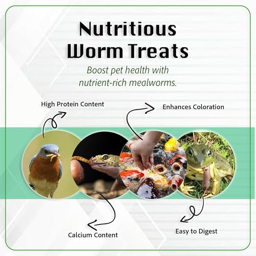Live Medium Mealworms for Fishing Bait & Pet Feeding - High Protein, Nutrient-Dense Larvae for Birds, Reptiles & Fish - Ideal for All Life Stages - Fresh - 250 Count