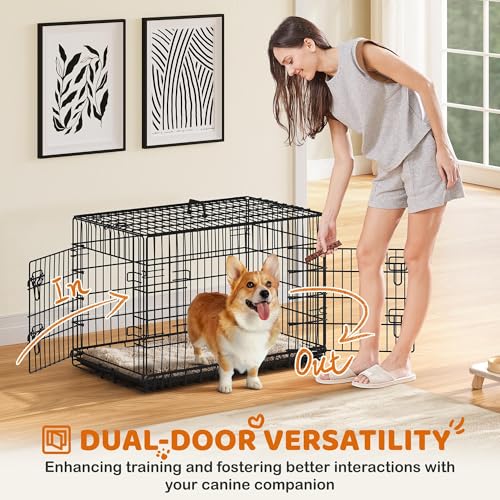 Yaheetech 36in Double Door Metal Dog Crate w/Divider for Puppy Indoor Use | Heavy-duty Sturdy Metal Frame, Easy Assemble, Fold Up for Travel, Removable Tray, Ideal for Puppies, Small to Medium Dogs - size: 36" L
