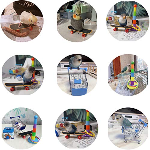 Hypeety 3 Pack Bird Intelligence Toys Stacking Training Rings Mini Shopping Cart Skateboard Stand Perch for Parrot Parakeet Cockatiel Conure Budgie Cockatoo (B) - color: Intellective Toy B
