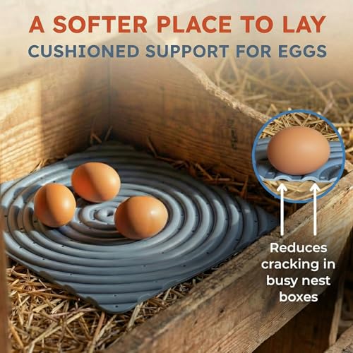 Lil'Clucker Washable Chicken Nesting Pads for Laying Eggs Nesting Pads for Chicken Coop Nesting Chickens Durable Chicken Bedding for Coop, Poultry Nest Box Pads for Chickens (Gray, 8-Pack) - color: Gray, size: 8-Pack