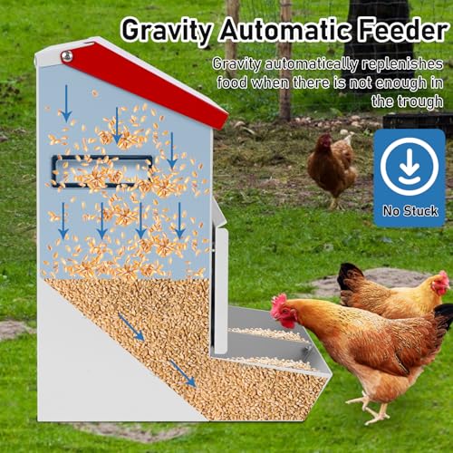 Automatic Chicken Feeder 25lb,Outdoor Galvanized Metal Poultry Feeder No Waste Rat Proof Feeder Trough with Lid Hanging Chicken Feeder Dispenser for Quails,Bantams, Ducks and Turkey