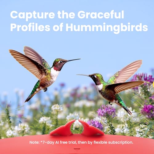 Hummingbird Feeder with Camera & Solar Panel, Smart Bird Feeder with AI Recognition & Capture on Outdoors, Gardens, Easy to Clean, 14oz Capacity, SE | Smart Humming bird Feeder for Record, AI Bird Identification, 1080P, Ant Moat & Bee Proof, Gift for Bird