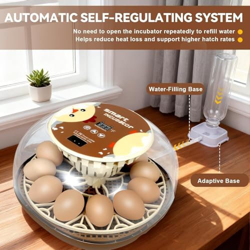 Series I-Automatic 12-Egg Incubator for Beginners, Auto Egg Turn, Steady Self-Regulating Humidity & Consistent Temperature Control for Hatching Chicken, Goose, Duck, Quail, Pigeon(12-Egg-Brown) - size: 12-Egg-Brown