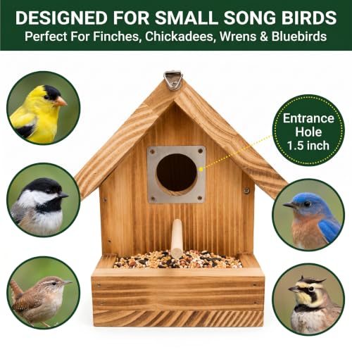 Window Bird Houses for Outside with Clear See-Through Viewing Window | 2-in-1 Wooden Birdhouse with Feeder, Suction Cups & Hanging Rope, Carbonized Wood Bird House for Bluebird Wren Finch - color: Side