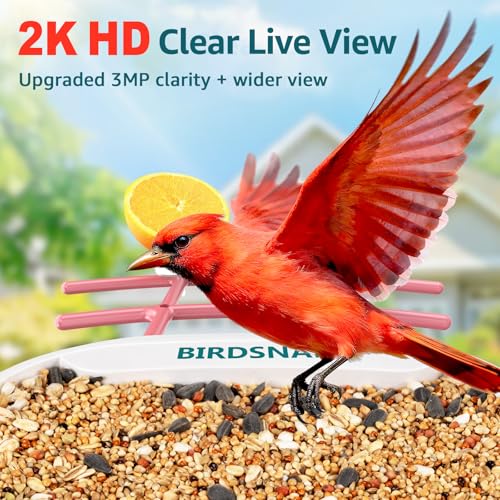 birdsnap® TUC Bird Feeder with Camera Solar Powered 2K Video with 32GB Card | AI Bird Species Identification, Squirrel-Proof, IP65 Waterproof, Outdoor Wireless, 2.4G WiFi, Gift for Mom Dad Bird Lovers - color: Pink