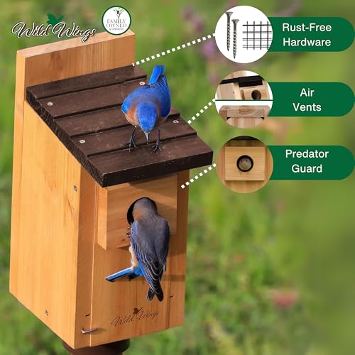 Wild Wings WWCH3 Cedar Blue Bird Box House,(Pack of 4) - size: Bluebird Box House (Pack of 4)