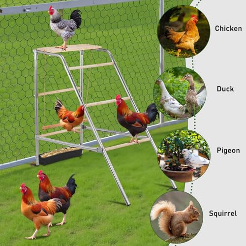 Chicken Coop Roosting Perch, Chicken Bars Roosting Ladder with Leg Bands for Perch, Backyard Poultry, Farm