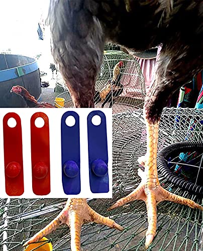 A.D.P. R2 Chicken Supplies Spur & Leg Protect Red Blue 2 Pair, Rooster Booster Protection Rooster Chicken Mitt Safety Poultry Hen Botas para GALLOS BREEDING, Best Rubber