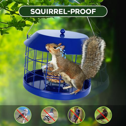 Gbekery Caged Bluebird Feeder for Mealworms with Glass Bowl, Squirrel Proof Bird Feeder for Small Birds Only, Detachable Hook, Large Space, Outdoors Weatherproof, Metal, Blue - style: Blue Glass Bowl