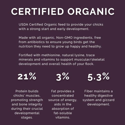 Chick Start Crumb Feed, 40lbs - Non-GMO, High Protein Chick Feed for Strong Early Growth, 21% Protein - USDA Certified Organic Blend, Soy & Corn-Free - size: 40 Pound