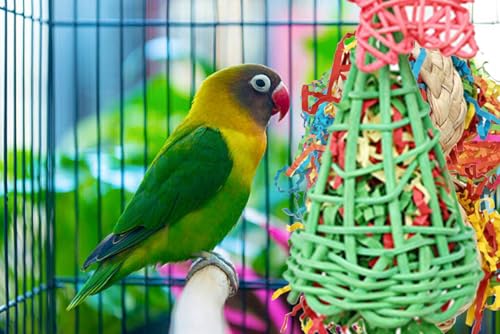 Foraging Toys with Extra Shredded Paper, Parakeet Chewing Hanging Toy, Bird Cage Accessories for Conure Cockatiel Budgies Lovebird Parrotlet - color: GREEN CONE
