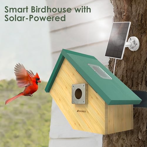 Smart Bird Houses for Outside Solar Powered, 1080P HD Live View Birdhouse with Camera, Perfect Viewing Bird Nesting and Hatching, Ideal Outdoors Bird House for Blue Bird and Cardinal (Green) - color: Green