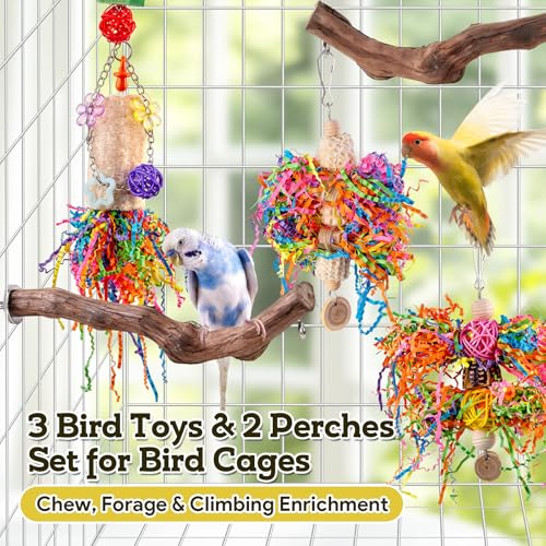 Bird Toys, Parakeet Foraging Toys, Hanging Chewing Toys with Natural Wooden Perches, Bird Cage Accessories, Suitable for Parakeets, Cockatiels, Budgies, Lovebirds & More - color: 5 pieces loofah