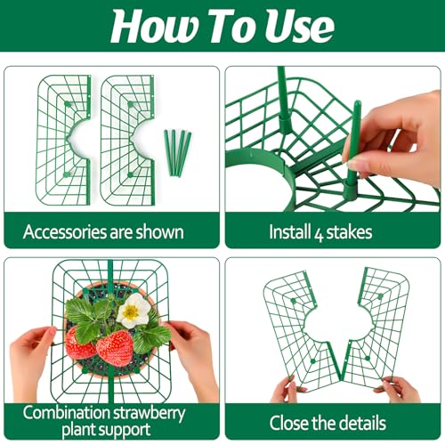 4 Sets Strawberry Plant Support with Mesh Plant Cover,Strawberry Growing Racks Sets with Iron Plant Nails and Storage Bag for Garden Strawberry Vegetables(Green Net - Square) - color: Green Net - Square