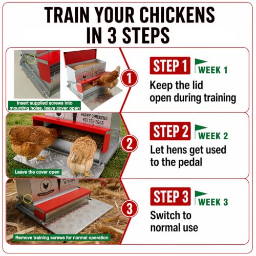 40 lb Automatic Chicken Feeder, Rat Proof Treadle No Waste | 40 lb treadle chicken feeder with visible window, galvanized steel body, no waste design, and weatherproof lid