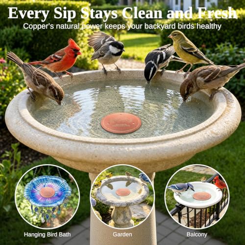 Copper Disc for Bird Bath, 99.9% Pure Copper (Two Birds) | 3‑Point Stable Base, Fits Bird Baths & Bowls, Reduces Mineral Buildup, Gift for Bird Lovers, Outdoor Garden Use - color: Copper Two Birds