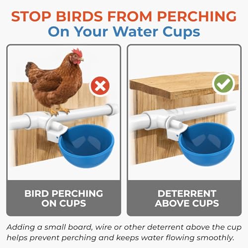 Lil'Clucker Large Automatic Chicken Waterer Cups and 1/2" PVC Tees - Chicken Water Feeder - Suitable for Chicks, Duck, Goose, Turkey and Bunny - Poultry Water Feeder Kit (Blue, 5-Pack) - size: 5-Pack