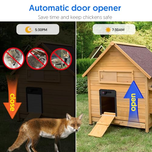 1080P HD Camera Solar Automatic Chicken Coop Door, 5000 mAh Large Battery, Support WiFi, APP Remote Viewing and Control, Timer, Alarm Driver Function, Easy to Install and Use.
