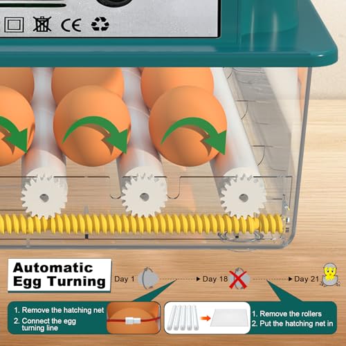 16 Eggs Incubators for Hatching Eggs, Egg Incubator with Automatic Egg Turning and Temperature Control, Chicken Egg Incubators with Egg Candler for Duck Goose Pigeon Quail - size: 16 Egg