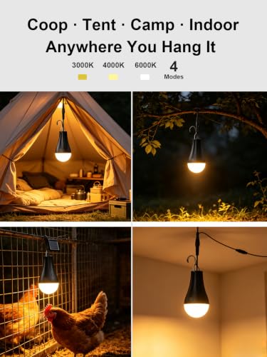 Portable Solar Chicken Coop Light with Timer, 3-Pack Waterproof | Rechargeable Solar Bulb, 4 Light Modes, 3 Color Temps, Auto 6H Timer, 90-180lm, 1200mAh Battery, for Indoor Camping Emergency