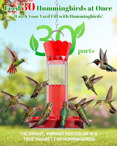 Hummingbird Feeders for Outdoors - 30 Bee Proof Feeding Ports 10 oz Red Hanging Plastic Humming Bird Feeder with Built-in Ant Moat, Perches for Outside Garden Yard Decorative