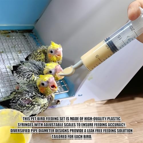 Baby Bird Feeding Syringe Kit,Hand Feeding Syringe for Birds,Pet Syringe Feeding Tool, Parrot Feeding Tubes Set for Small Baby Birds Pet Kittens (D) - color: D
