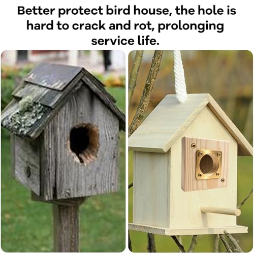 Bluebird House Predator Guard， with Copper Gate Predator Protection Device Bird House Predator Guard Replacement, Suitable for 1 1/2 inch Open Oriental Bluebird Box (2 Pieces)