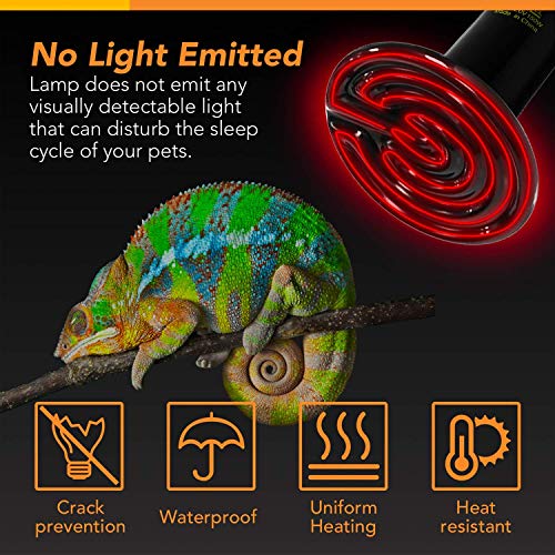 Simple Deluxe 150W Reptile Heat Bulb and 40-108 Degrees Fahrenheit Digital Thermostat Controller Included, for Amphibian Pet & Incubating Chicken, Black - size: 150 Watts, style: Bulb+Thermostat