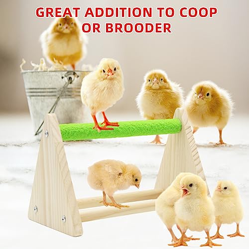 Chick Feeder and Waterer Kit with Chick Perch, 1l Chick Waterer, Flip Top Poultry Feeder, Chick Starter Kit for Chick Brooder, Baby Chicken Supplies for Baby Chick, Duck and Quail - color: Chick Feeder and Waterer Kit with Chick Perch