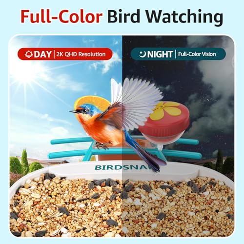 birdsnap® TUC Bird Feeder with Camera Solar Powered 2K Video with 32GB Card | AI Bird Species Identification, Squirrel-Proof, IP65 Waterproof, Outdoor Wireless, 2.4G WiFi, Gift for Mom Dad Bird Lovers - color: Blue