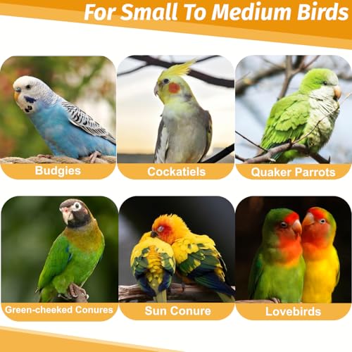 3-Ring Bird Wooden Swing Climbing Toy Chewable Cotton Rope Perch for Cage | Cockatiels Budgies Parakeets Lovebirds, Easy to Install & Clean, Multi-Play
