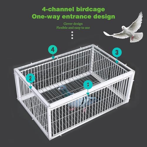 Pigeon Trap Cage with Escape-Proof Design Chicken Trap Bird Cage with One Way Entrance for Sparrows Quails Bird Chick and Duckling (15.75”L x 11.8” W x 10.24” H) - size: 15.75”L x 11.8” W x 10.24” H