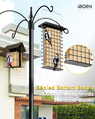 iBorn Metal Double Suet Feeder,Durable Suet Cake Cage Bird Feeder for Outdoors Hanging，Metal Roof Bird Feeder with Taller Grid for Woodpeckers,Large Suet Holder,Easy Clean & Refill,1 Pack,Black - color: Black, size: Double Capacity