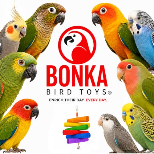 Bonka Bird Toys 2036 Rainbow Sola Natural Shredding Chewing Colorful Parrot Parrotlet African Grey
