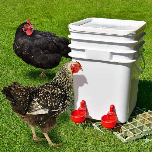 Chicken Waterer Cups | Automatic Large Chicken Water Feeder for Chicks, Quails, Goose, Bunny and Birds | Poultry Waterer - BPA Free & Easy to Clean (12 Pack)