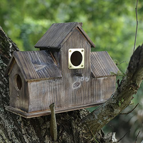 6-piece Metal Bluebird House Predator Guard，Metal Birdhouse Guard，Bird House Hole Protector Guard for Eastern Bluebird Box （3.81 cm Opening）