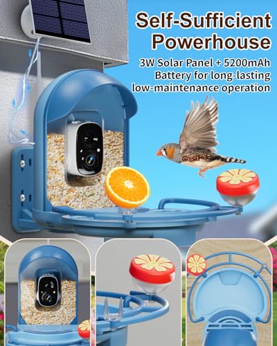 Bird Feeder with Camera, AI Recognition, Bird Bath, Solar Powered | Capture stunning 2K video, enjoy solar charging, bird bath design, night vision, smart app alerts and motion detection. - color: Blue, size: With BirdBath