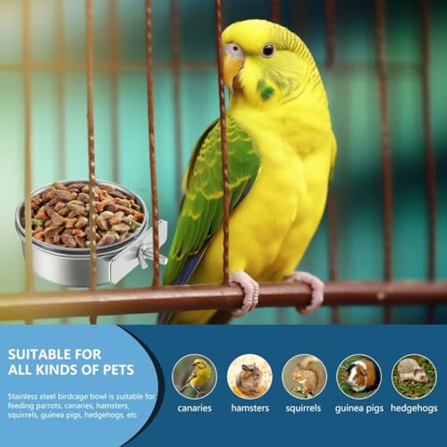 2Pcs Stainless Steel Bird Feeding Bowls, Parrot Food Water Feeder Cage Cup Holder Dia 3.93",4.72" - size: 3.93", 4.72"