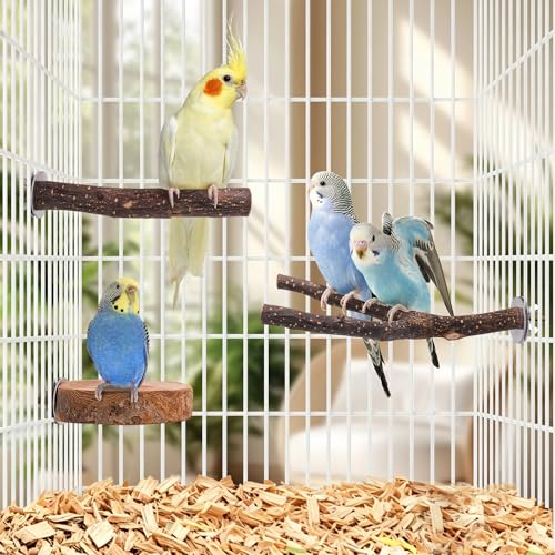 8PCS Bird Perches Set Natural Apple Wood Bird Cage Accessories Wooden Parrot Stand Hardwood Branches for Parakeets, Budgies, Cockatiels Small Bird Habitat Gym, Climbing Stand & Safe Chew Toys