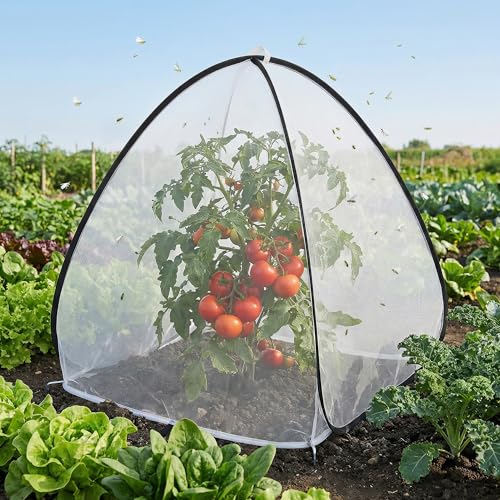 2 Pcs Pop Up Insect Barrier Plant Cover Tent, 30 x 28 x 28 Inch Foldable Garden Plant Protectors Mesh Enclosure, Garden Net Cage Bird Insect Guard Cover for Protecting Plants Fruits Vegetables - color: 30 X 28 X 28 Inch