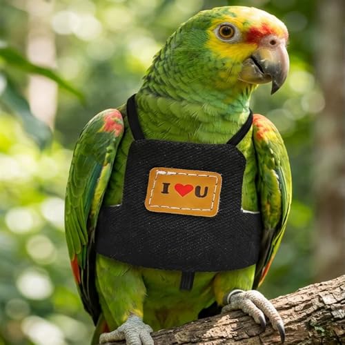 Bird Flight Harness Vest, Parrot Flight Suit with Leash Adjustable Bird Flying Clothes Outdoor Training Traction Rope for Parakeets Cockatiels Conures Budgies Cockatiel-Black,L - color: Black
