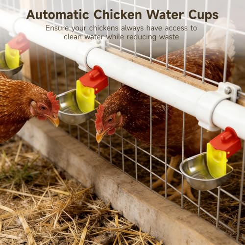 12 Pcs Stainless Auto Chicken Water Cups, Self-Filling for 5 Gal Bucket | Self-filling keeps water fresh; bowl shape for natural drinking; fits PVC pipes; for ducks, rabbits, quails & backyard