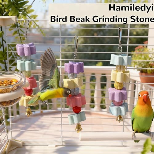 4Pieces Parrot Beak Trimmer Bird Beak Grinding Stone Teeth Lava Block Mineral Calcium Rock Chewing Toys with Bell for Parakeet Conure Budgies Rabbit Chinchilla Hamster - size: 4Pieces